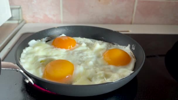 Three Scrambled Eggs Frying Pan Cooking Induction Hob High Quality — 图库视频影像