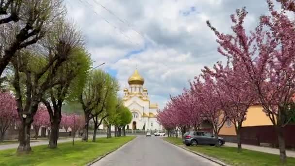 Piękny Krajobraz Prawosławnej Katedry Mukaczewie Brukową Drogą Prowadzącą Niego Kwiatami — Wideo stockowe