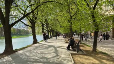 Uzhhorod, Ukrayna - Mayıs 2023: Uzhhorod 'daki Uzh nehrinin kıyısındaki Linden sokağı, ılık bir bahar günü.