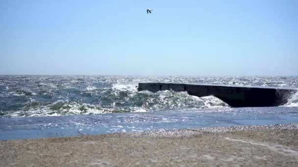 Сильні Хвилі Розбиваються Набережній Кам Яних Плит Високоякісні Кадри — стокове відео