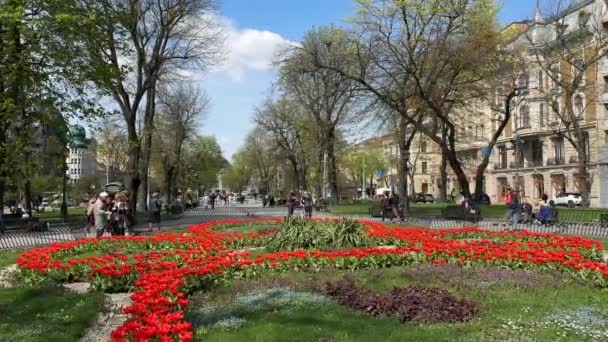 Lviv Ουκρανία Μάιος 2023 Κεντρικό Δρομάκι Της Πόλης Είναι Φυτεμένο — Αρχείο Βίντεο