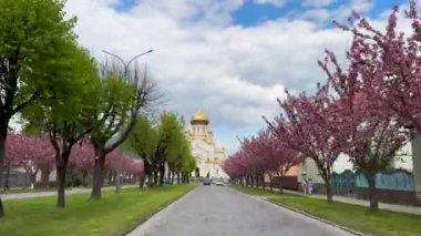 Mavi bir gökyüzünün altında, güzel bir Ortodoks Katedrali 'nin arka planında kiraz çiçeklerinin açtığı güzel bir bahar yolu..