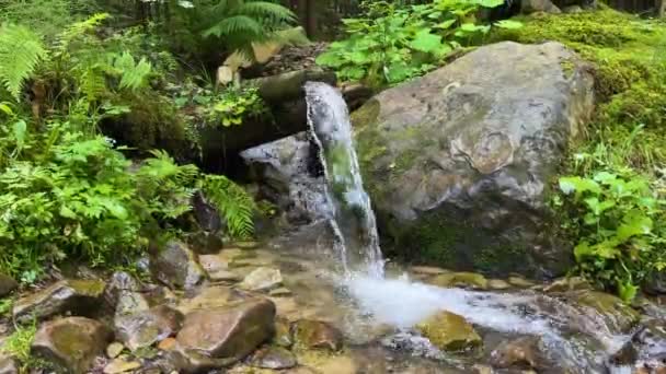 Rent Vatten Mountain Våren — Stockvideo