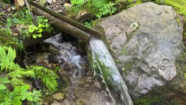 Montagne Source Ruisseau Eau Propre Source Eau Minérale Pure Pour — Video