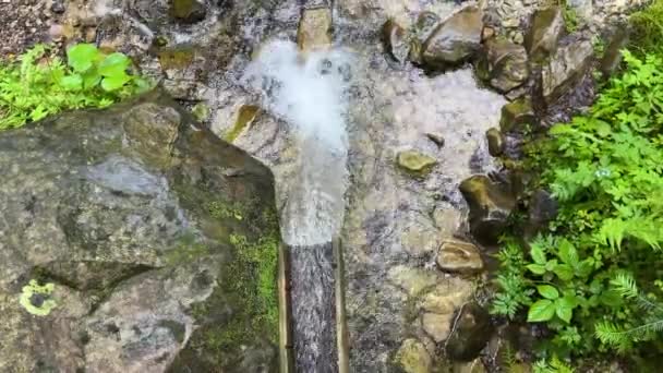 Air Bersih Mata Air Pegunungan — Stok Video