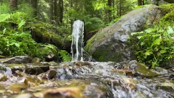 Rent Vatten Mountain Våren — Stockvideo