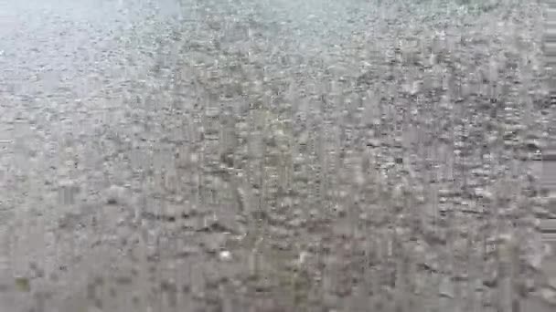 Raindrops Large Puddle Heavy Rain High Quality Footage — Stock Video