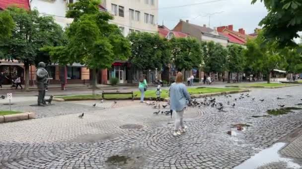 ウクライナ ムカチェヴォ 2023年6月11日 曇りの日にムカチェヴォ市の歴史的中心部の歩行者通りを歩いてリラックスする人々 — ストック動画