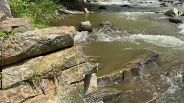 Lagarto Banha Sol Uma Rocha Perto Rio Montanha Imagens Alta — Vídeo de Stock