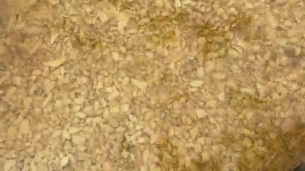 富含钙顶视图背景的Kneipp台阶池 — 图库视频影像