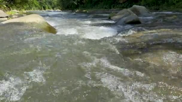 Mountain River Flowing Rocky Shores Summer High Quality Footage — Vídeos de Stock