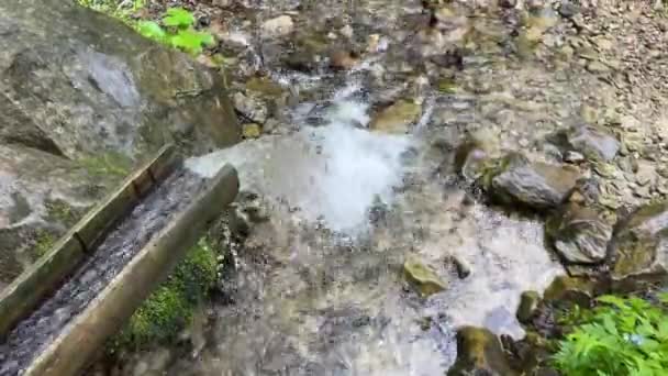 Čistá Voda Horském Prameni Zblízka Nahoru Pohled — Stock video