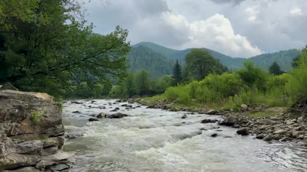 Гірська Річка Тече Між Скелястими Берегами Влітку Похмурий День — стокове відео