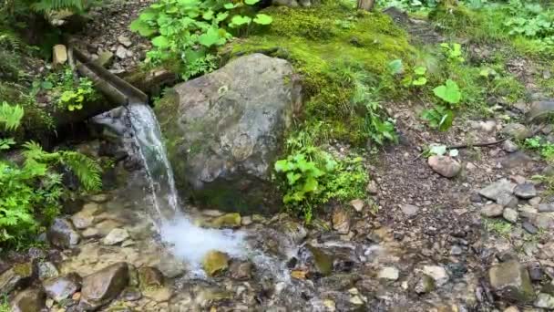 Agua Limpia Manantial Montaña — Vídeos de Stock