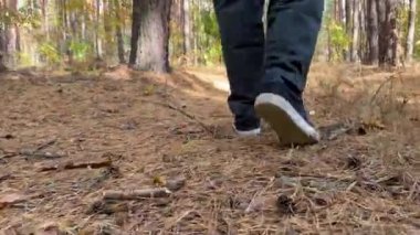 Bir adam sonbahar ormanında yürür. Bacaklar yakın. Yüksek kalite 4k görüntü