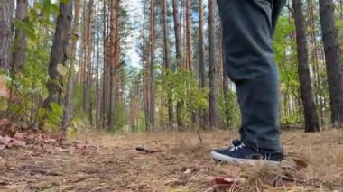 Bir adam sonbahar ormanında elleri ceplerinde yürür. İnsanın geçmişe bakış açısı. Yüksek kalite 4k görüntü