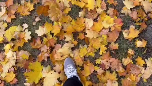 Pov Man Walking Autumn Leaves Slow Motion Top View — Stock Video