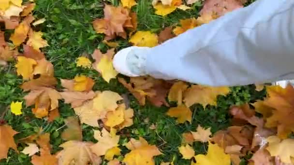 Pov Kadını Sonbaharda Yürürken Yavaş Çekim Üstten Dikey Görüntü Bırakır — Stok video