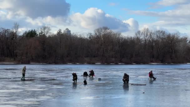 Αλιείς Πιάνουν Ψάρια Λεπτό Πάγο Κατά Διάρκεια Της Χειμερινής Αλιείας — Αρχείο Βίντεο
