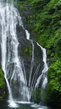Dikey tropikal ormanlar arasında güzel şelale.