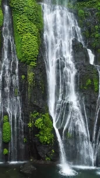 Waterfall Tropical Leaves Vertical Stock Video
