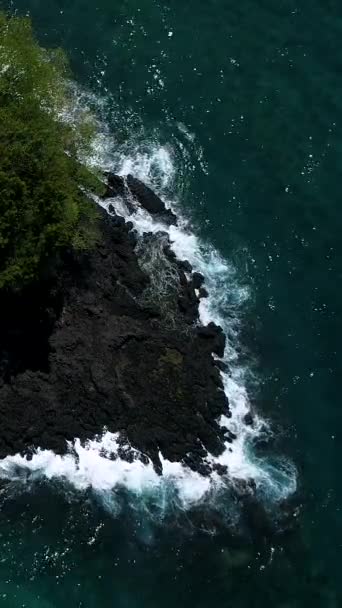 해안선에 파도의 드론보기 — 비디오