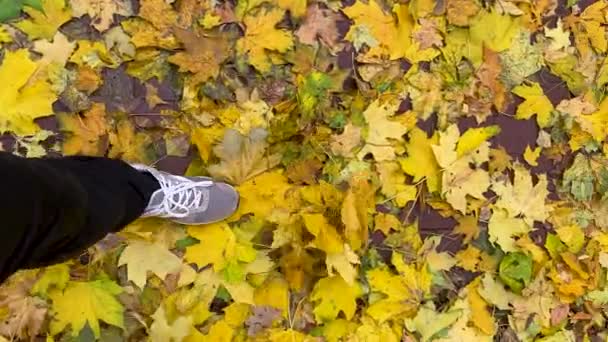 Pov Άνθρωπος Πόδια Φθινόπωρο Αφήνει Αργή Κίνηση Πάνω Όψη Κάθετη — Αρχείο Βίντεο