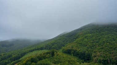 Doğa Çağrısı: Sisli Dağ Zamanlaması.