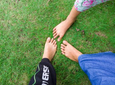 Zoysia japonica çimlerinde üç bacağın portresi