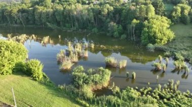 Ormanda balıklarla dolu bir göl. 4K kalitesindeki insansız hava aracından inanılmaz bir manzara. Suya yakın bir ormanda gün batımı her zamanki gibi inanılmaz..