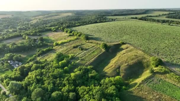 Σπίτια Και Καταπληκτική Φύση Θέα Από Drone Για Sunset Field — Αρχείο Βίντεο