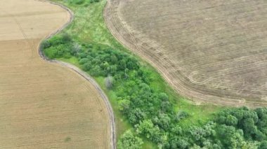 Altın ve yeşil alana harika bir iniş. İnsansız hava aracından yaz manzarası. 4K kalite