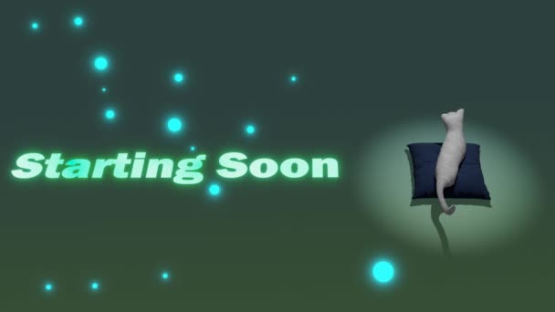 Livestream Gaming Starting Soon Screen Cat Sitting Pillow Loop Animation — Stock video