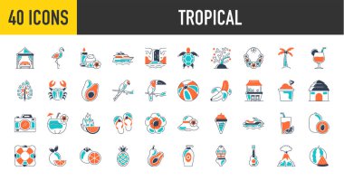Tropik tatil ikonları ayarlandı. Mevsimlik elementler, flamingolar, dondurma, ananas, tropik yapraklar, kokteyller, plumeria, karpuz, plaj, yat, meyve suyu, can yeleği, kamera, bikini ve daha fazla ikon gibi.