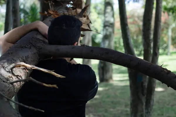 Jeune Homme Soulevant Tronc Arbre Dans Une Forêt Bûcheron Abattant — Photo