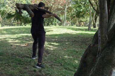 Ormanda ağaç gövdesi kaldıran genç bir adam. Ormanda ağaç kesen bir oduncu.