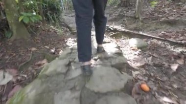 Yaşlı bir kadın güneşli bir günde bir köpekle ormanda yürüyor.