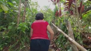 Yaşlı bir kadın güneşli bir günde bir köpekle ormanda yürüyor.