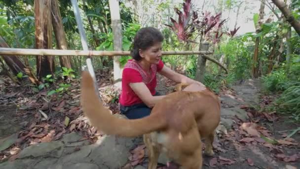 Wanita Tua Bermain Dengan Anjing Hutan Pada Hari Yang Cerah — Stok Video