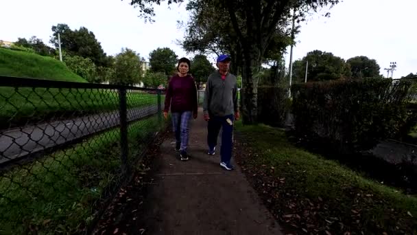 Yaşlı Çift Şehirde Parkta Yürüyor — Stok video