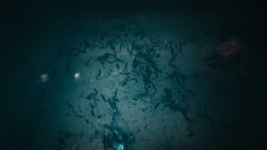 Güneş ışığı parıldıyor, yüzey ve mavi okyanusun altında, deniz dalgaları, yaz mevsiminde su altında temiz sular.