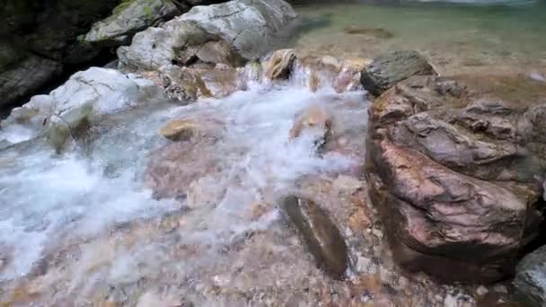 Woda Rzeki Krystalicznie Czystą Wodą Lesie Kolumbii Wakacjach — Wideo stockowe