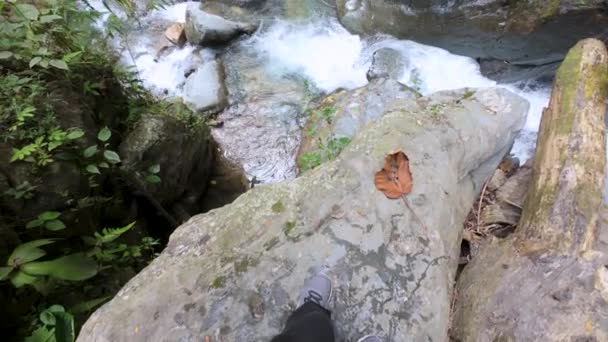 Вода Річки Кришталево Чистою Водою Лісі Колумбії Відпустці — стокове відео