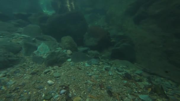 Persona Buceando Nadando Bajo Agua Río Cristalino Con Rocas Bosque — Vídeos de Stock