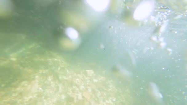 森の中の透明な水で 川に潜り込み 水中で泳いでいる人 — ストック動画