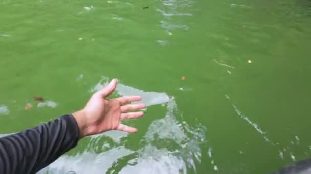 休暇中に水に乗ってボートから川や湖の水に触れる男の手 — ストック動画