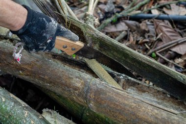 Ağır balta tutan adam. Oduncu ellerindeki balta ağaç gövdelerini kesiyor ya da kesiyor.