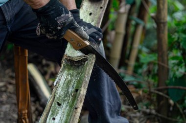 Ağır balta tutan adam. Oduncu ellerindeki balta ağaç gövdelerini kesiyor ya da kesiyor.