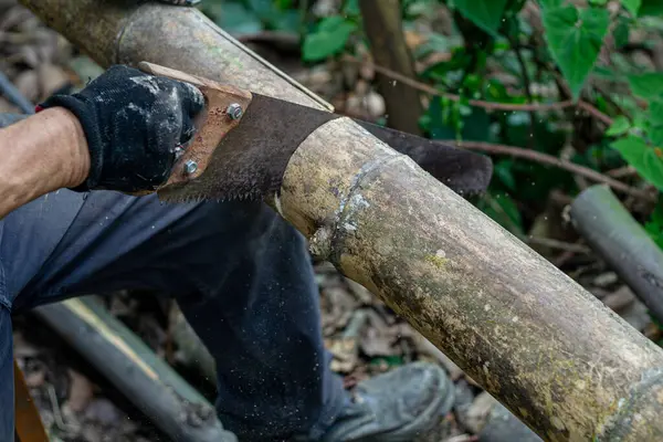 Man Holding Heavy Axe Lumberjack Hands Chopping Cutting Wood Trunks Stock Image