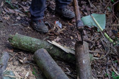 Ağaç gövdelerini kesen ya da kesen oduncu elleriyle ağır balta tutan bir adam.